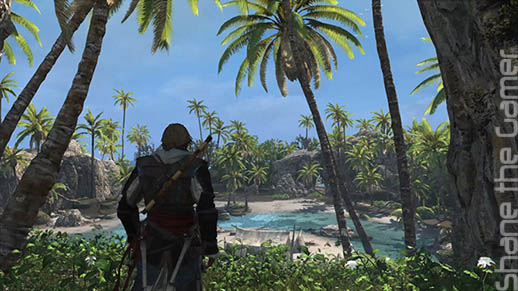 Assassins Creed 4 Black Flag Next Gen Review