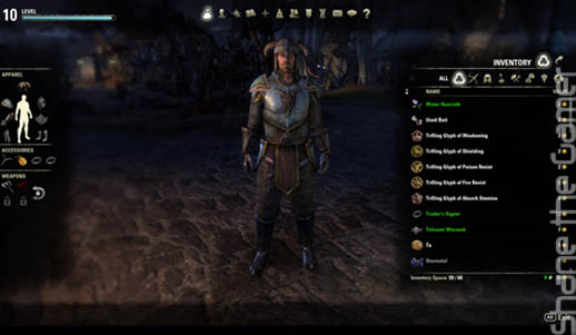 Elder Scrolls Online