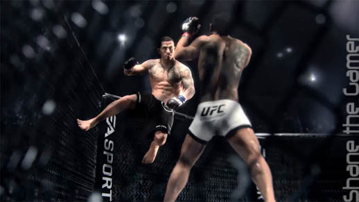 UFC 2014