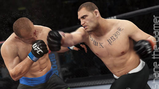 EA Sports UFC 2014