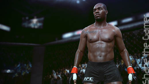 EA Sports UFC 2014