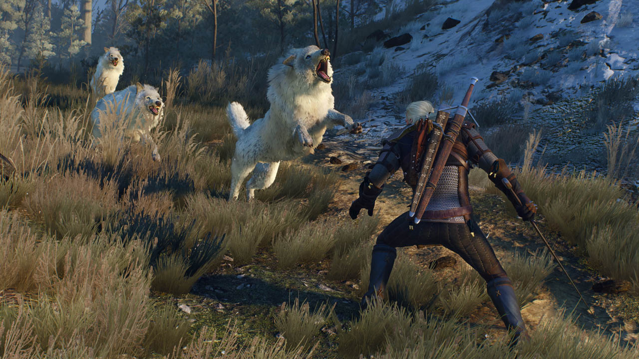The Witcher 3: Wild Hunt