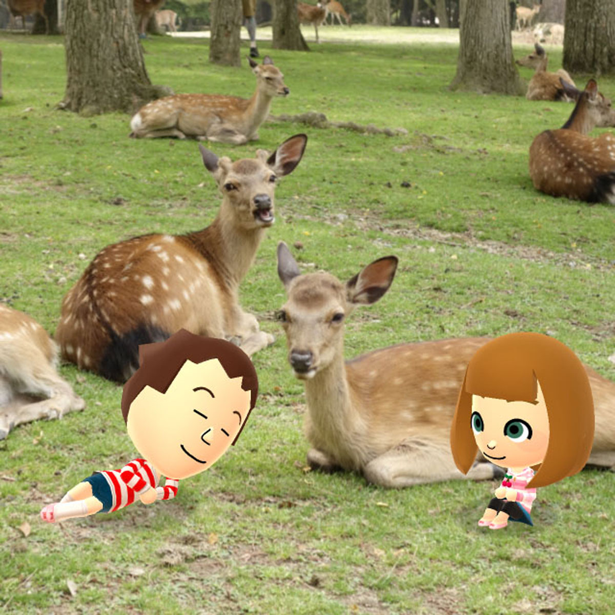 Miitomo - Miifoto