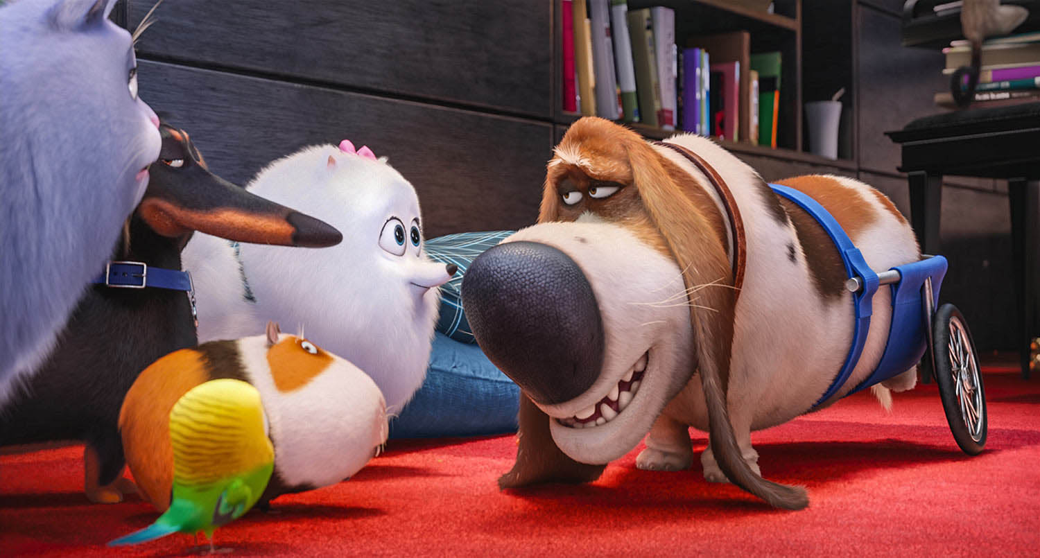 secretlifeofpets_renaud_d