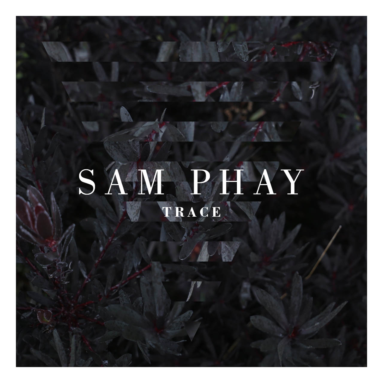 Sam Phay Trace