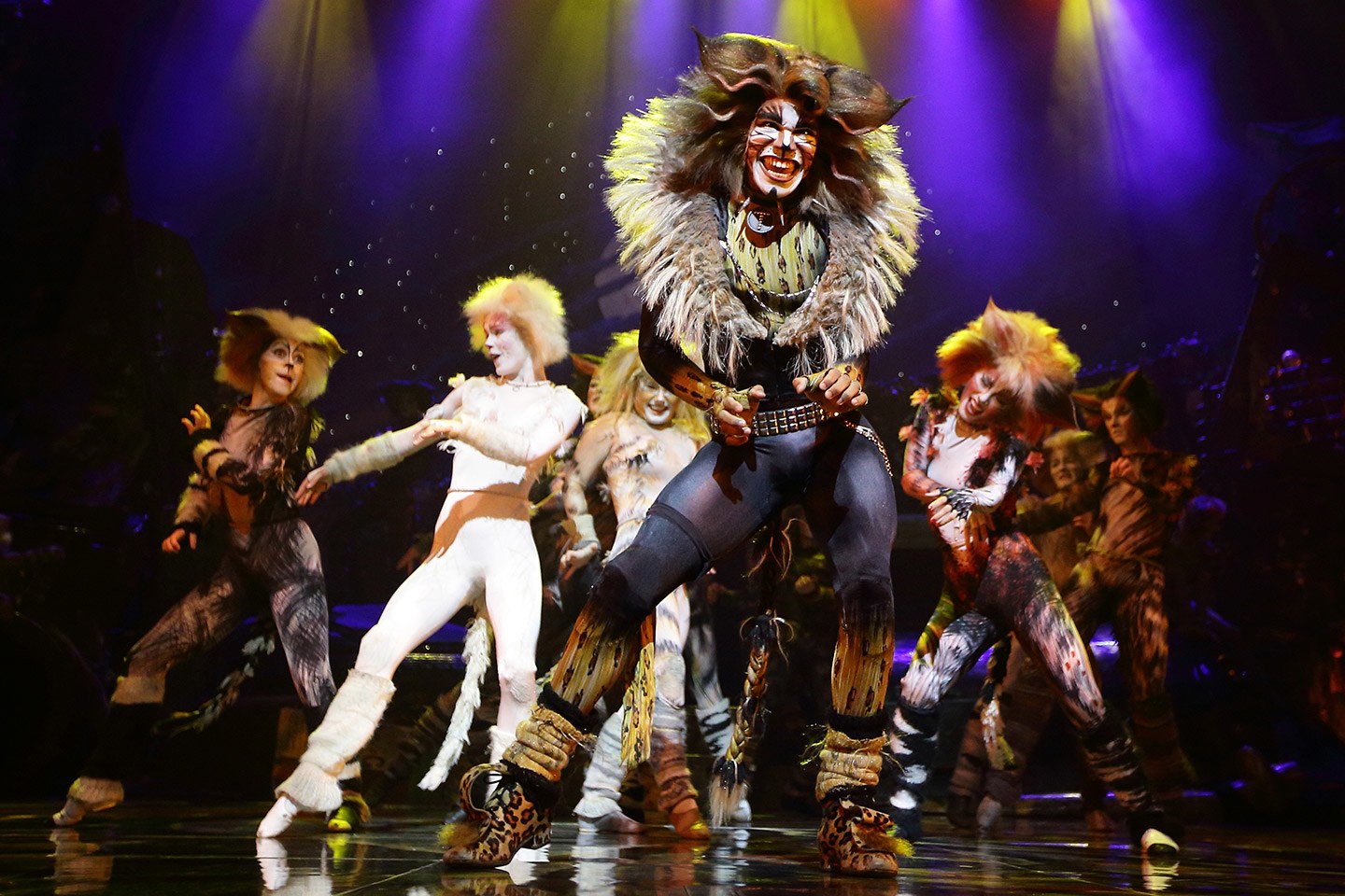 Andrew Lloyd Webber Cats