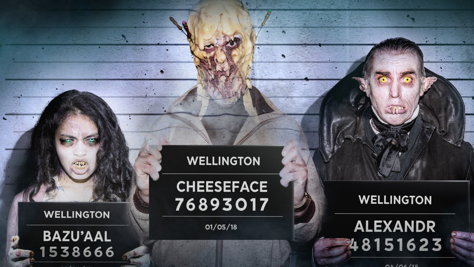 Wellington Paranormal