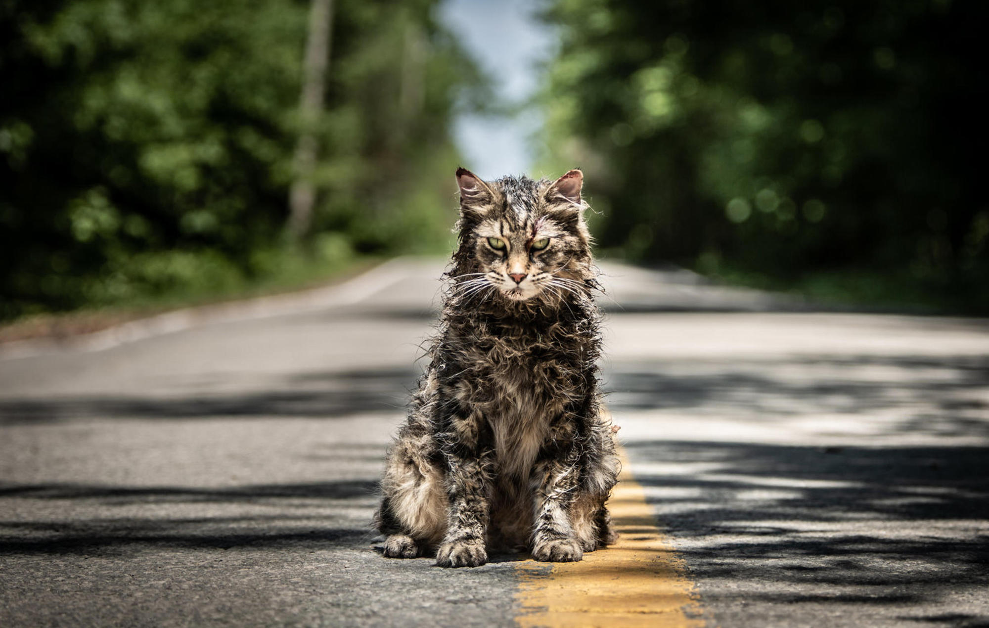 Pet Sematary 2019