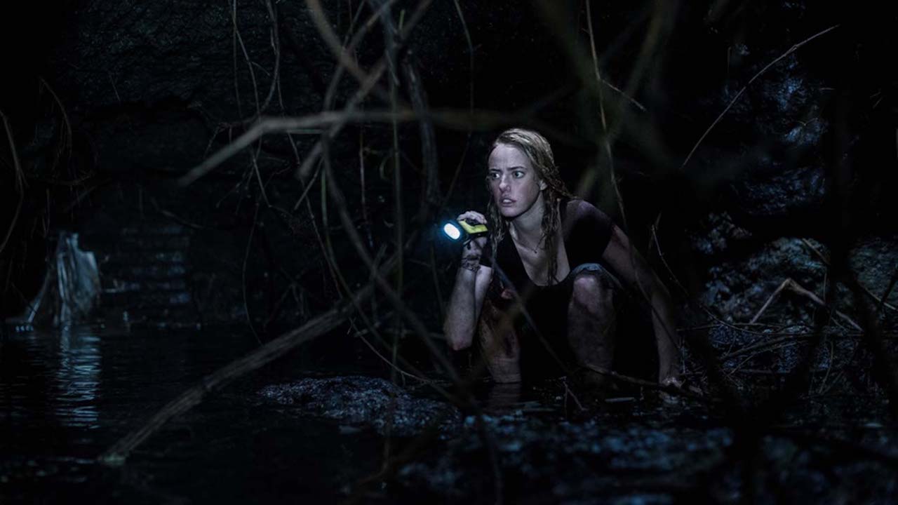 Crawl - 2019