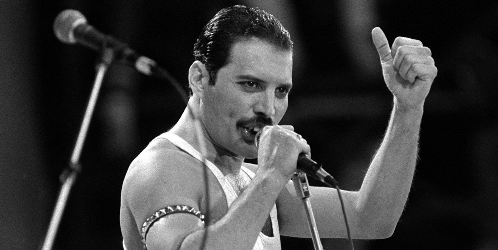 Freddie-Mercury