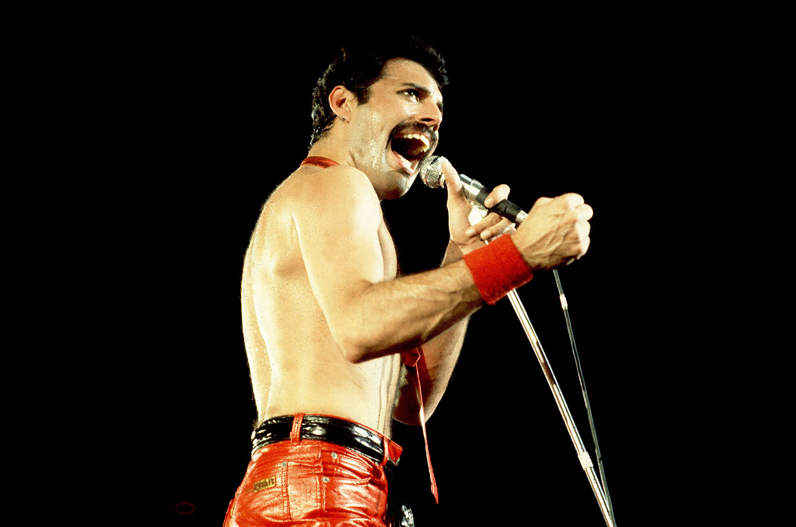 Freddie Mercury