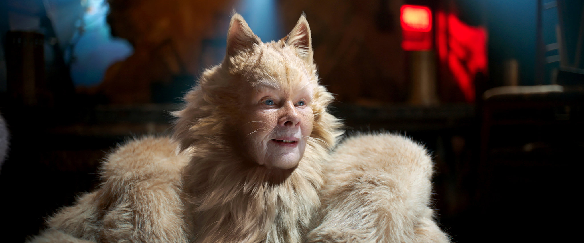 Cats - 2019