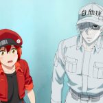 Cells at Work - Anime