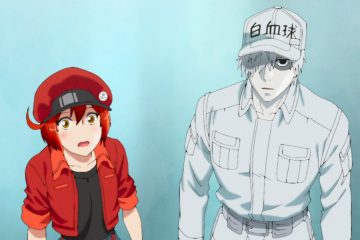 Cells at Work - Anime