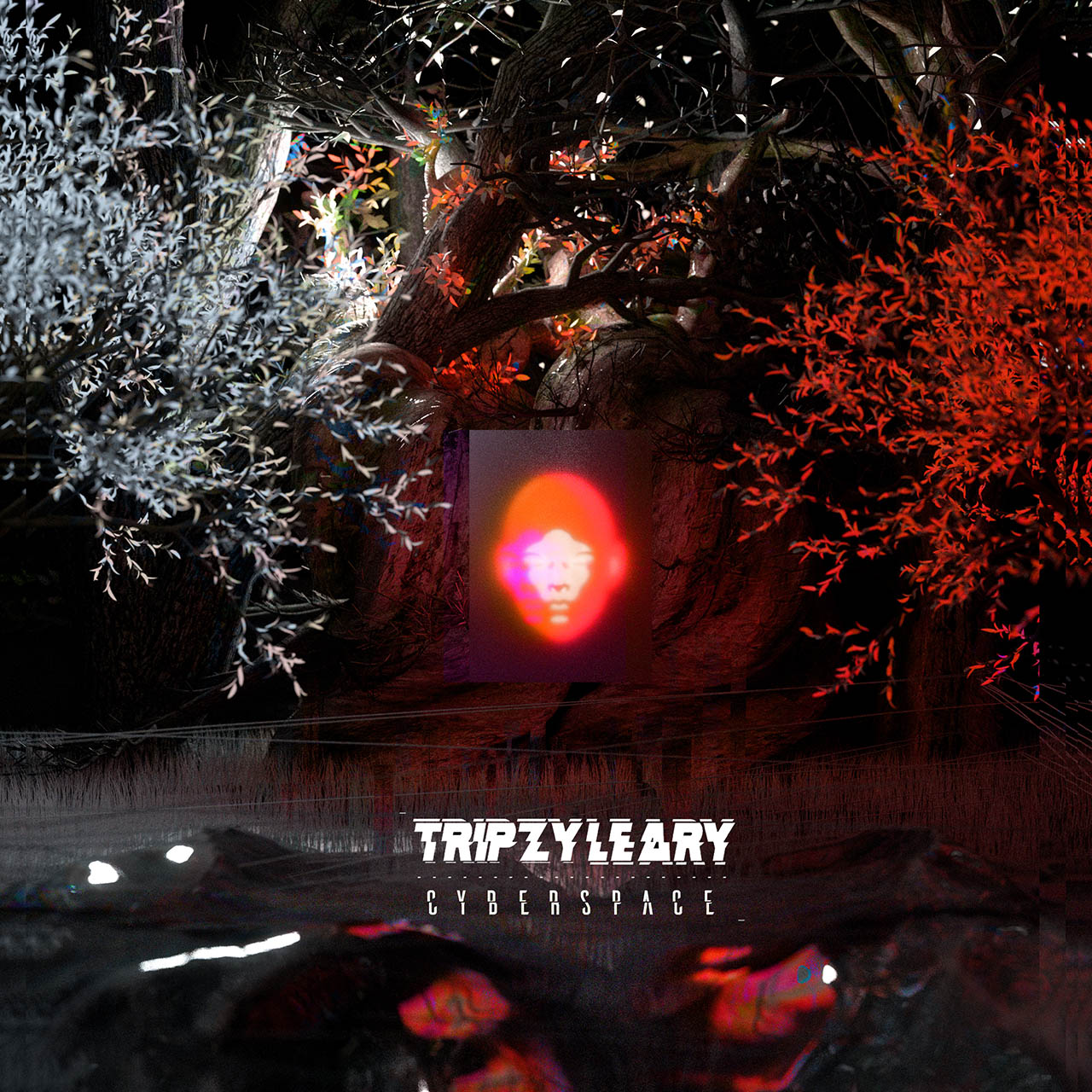 Tripzy Leary - Cyberspace album