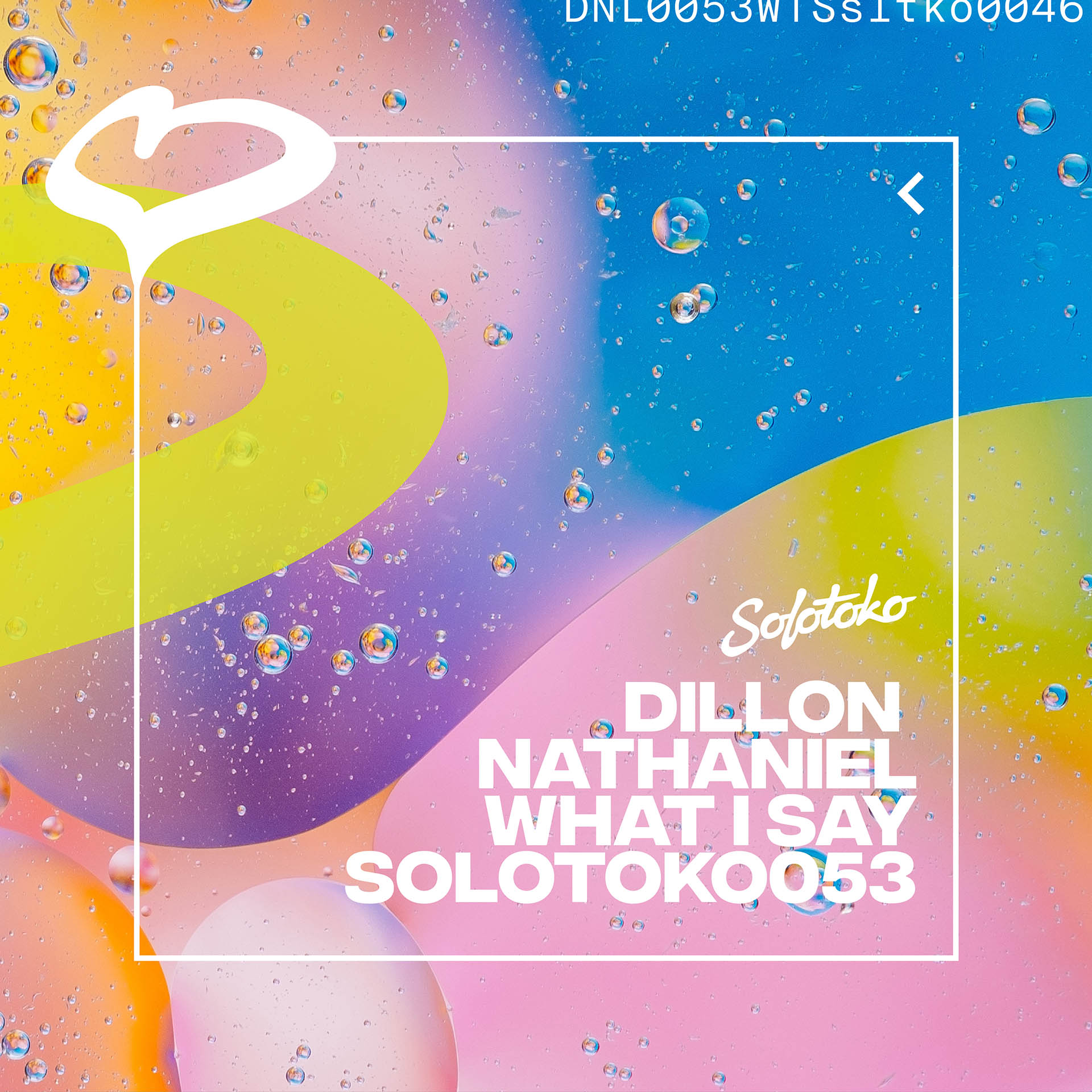 DILLON NATHANIEL What I Say EP