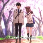 I Want to Eat Your Pancreas - Anime