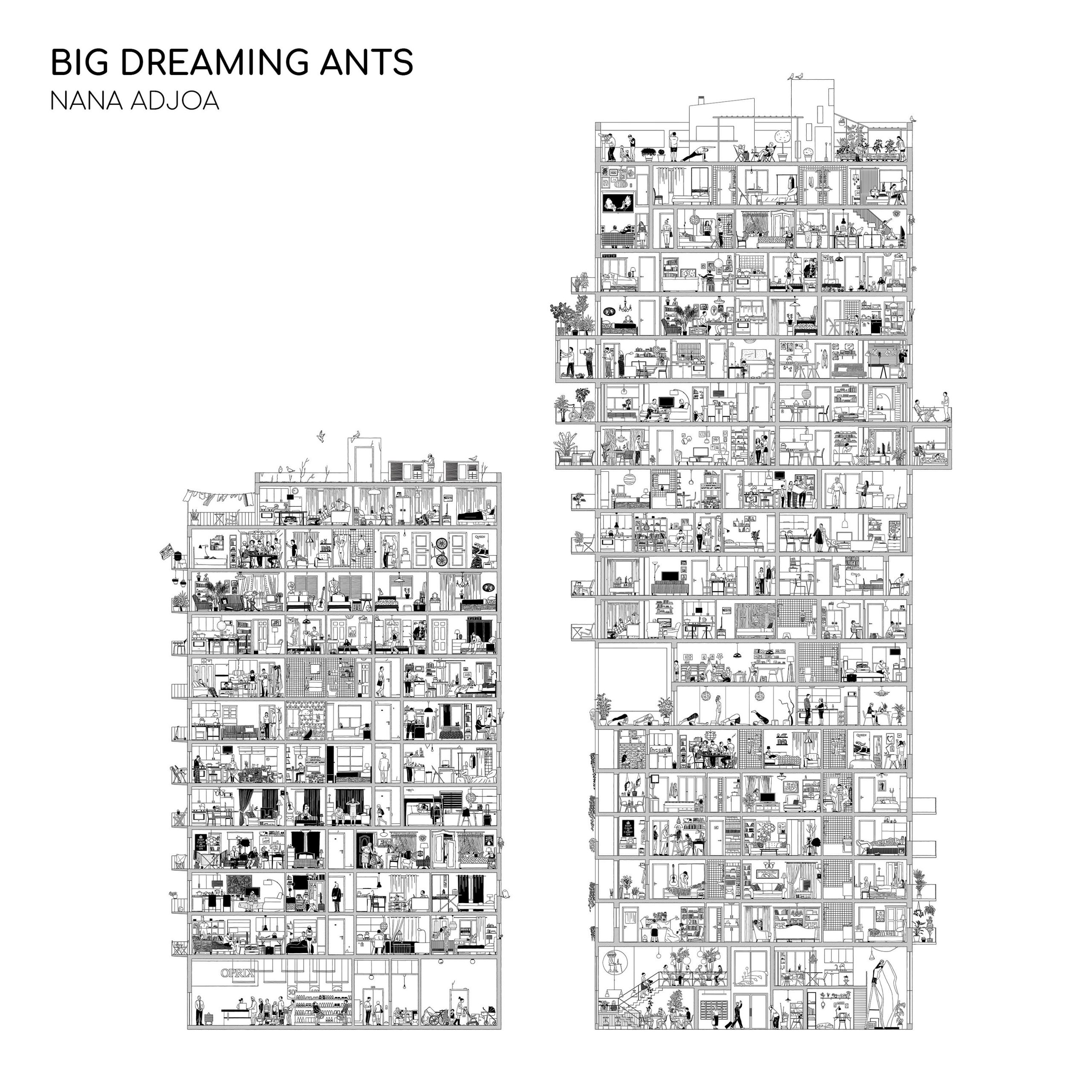 Nana Adjoa - Big Dreaming Ants