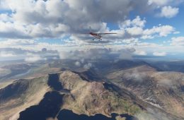 Microsoft Flight Simulator