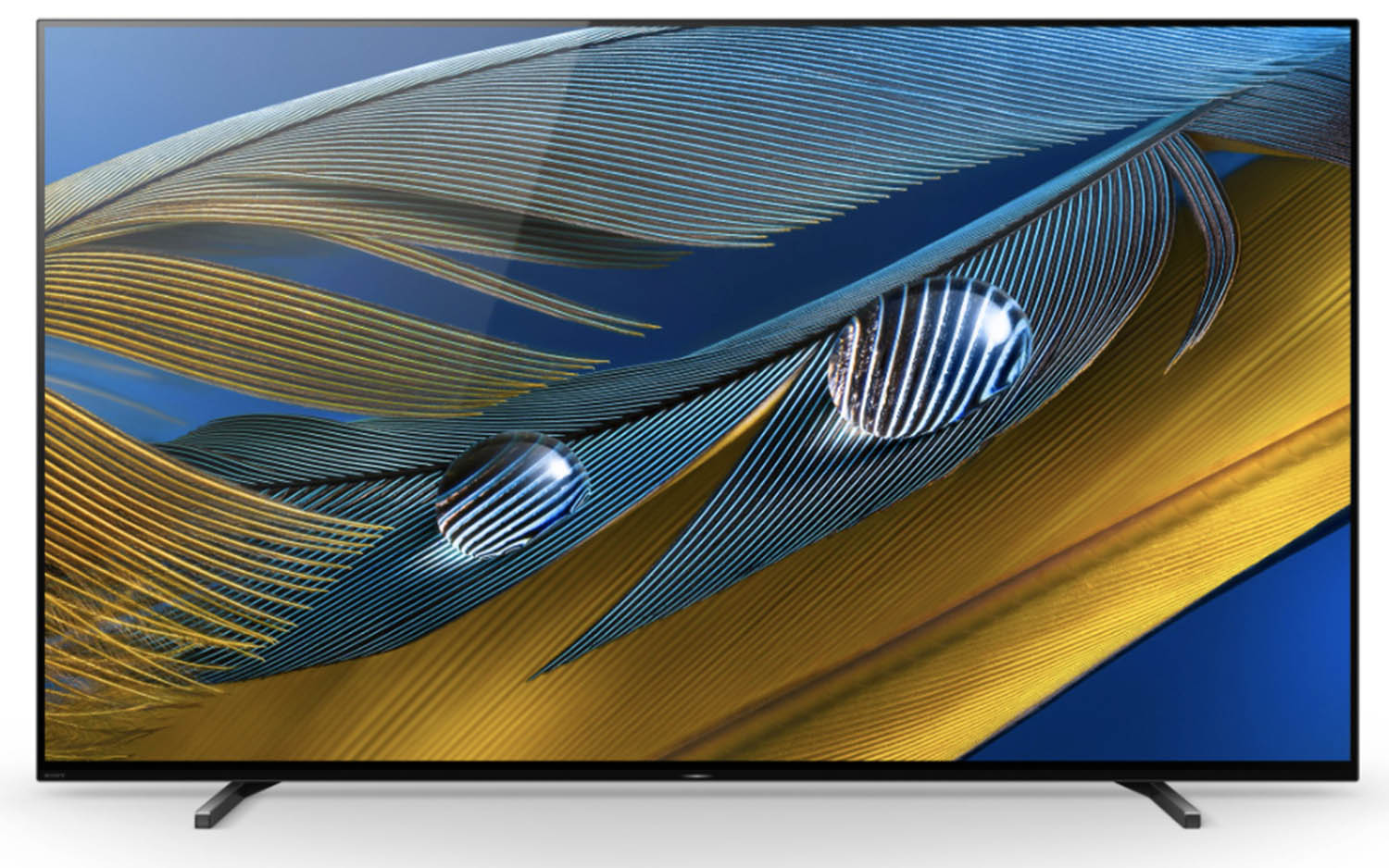 Sony Bravia Smart TV 2021