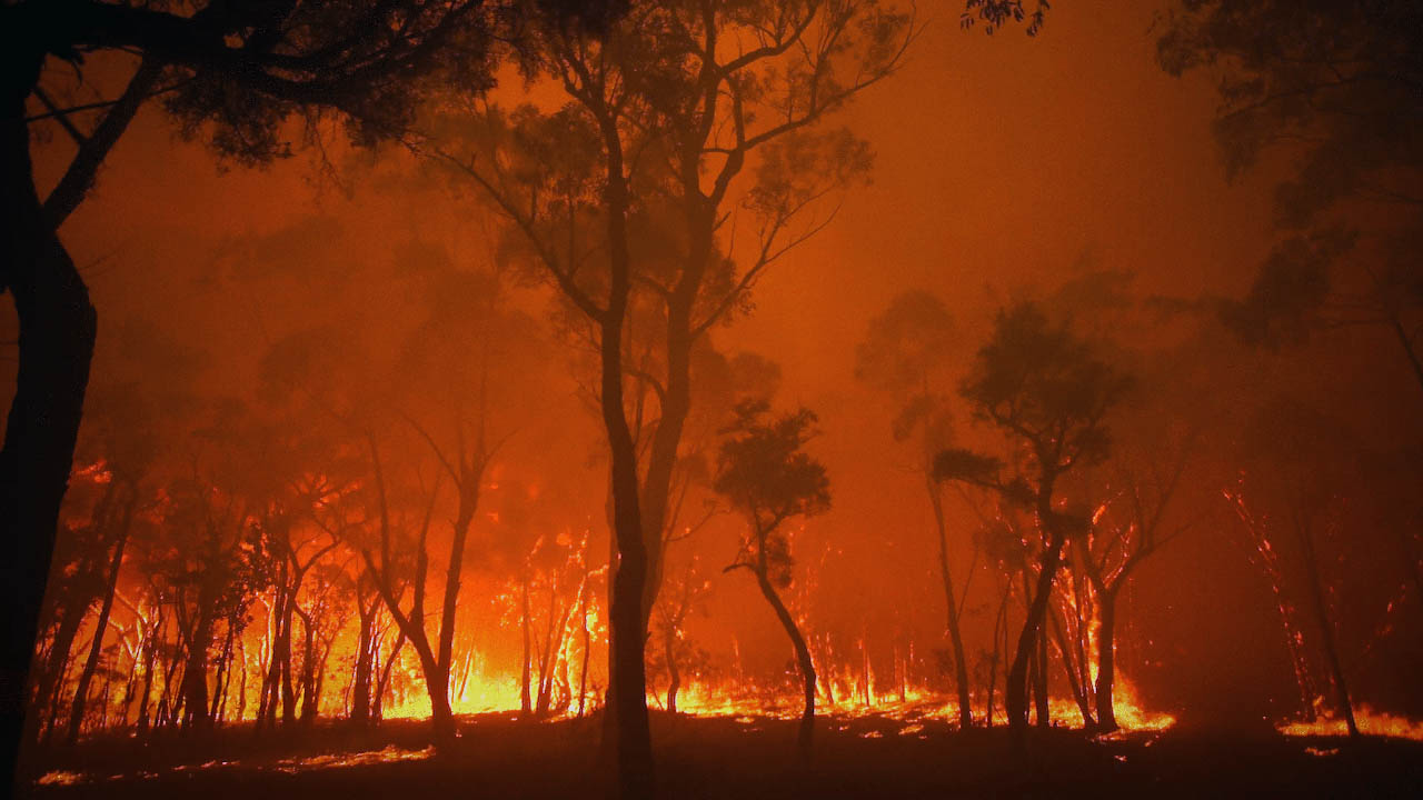 Burning - Australia Documentary Amazon Prime