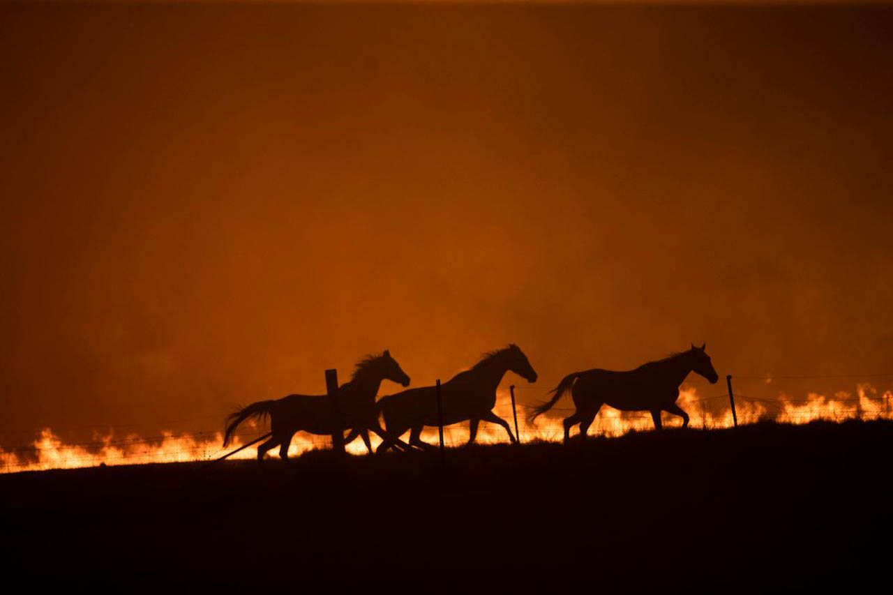 Burning - Australia Documentary Amazon Prime