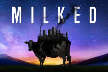 Milked