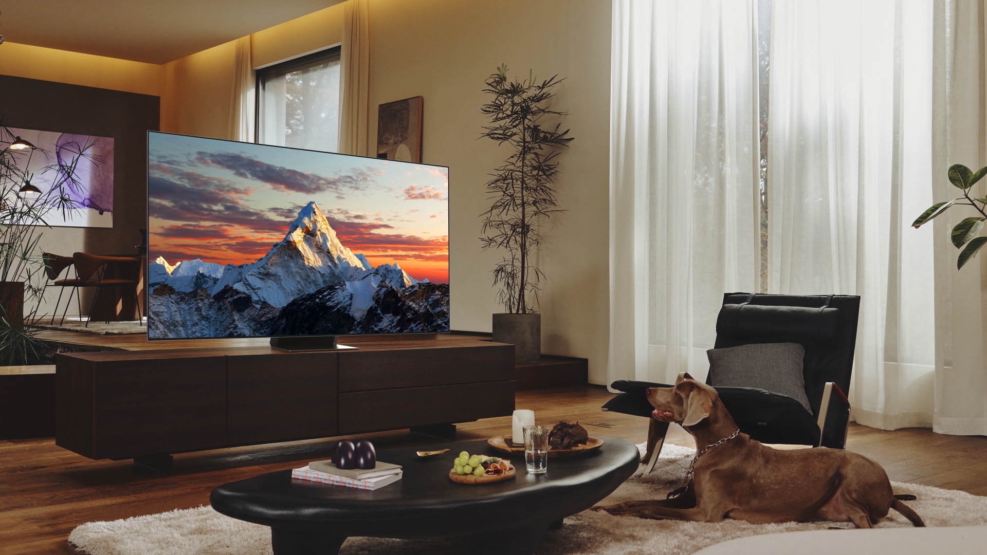 Samsung TV Range 2022