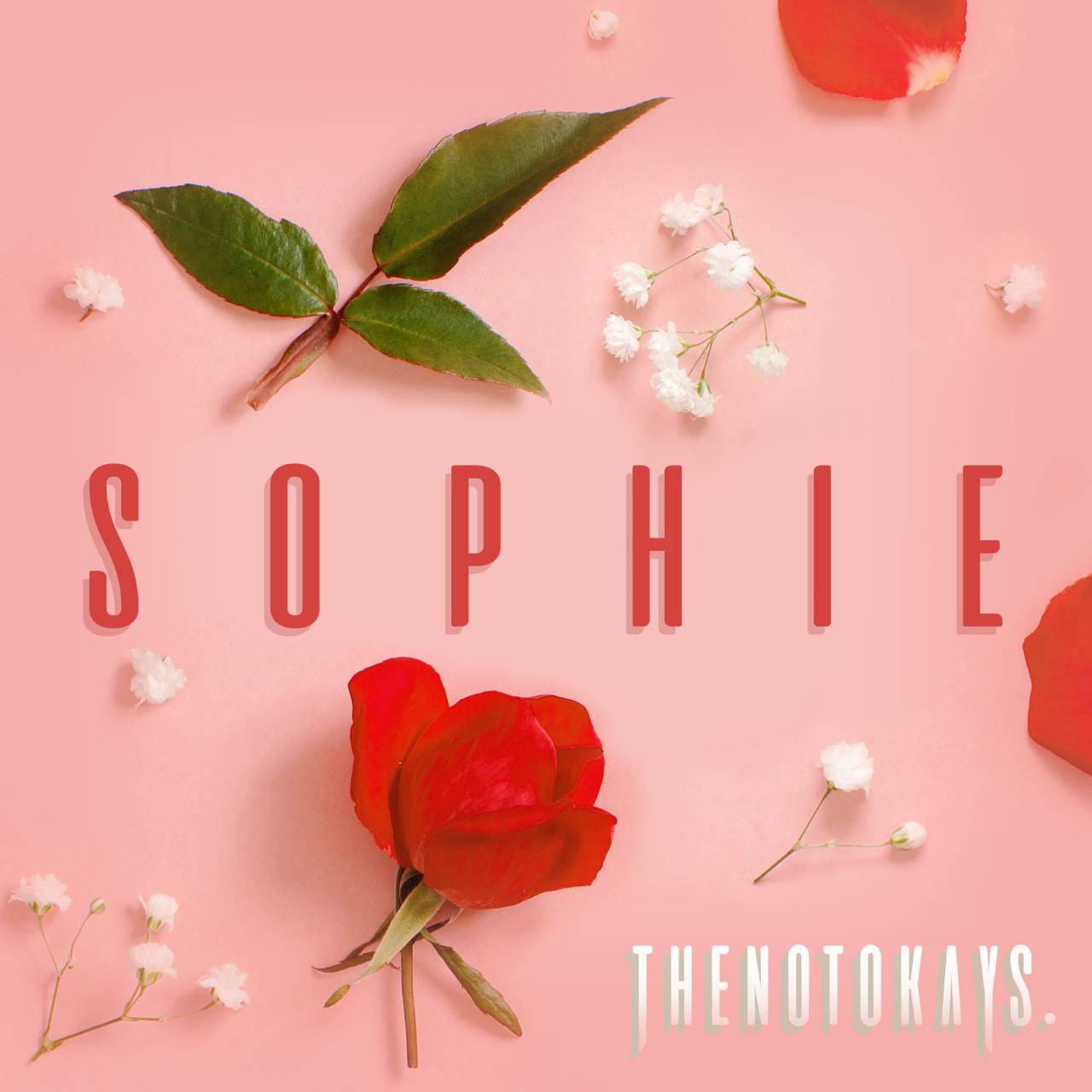 The Not Okays - Sophie