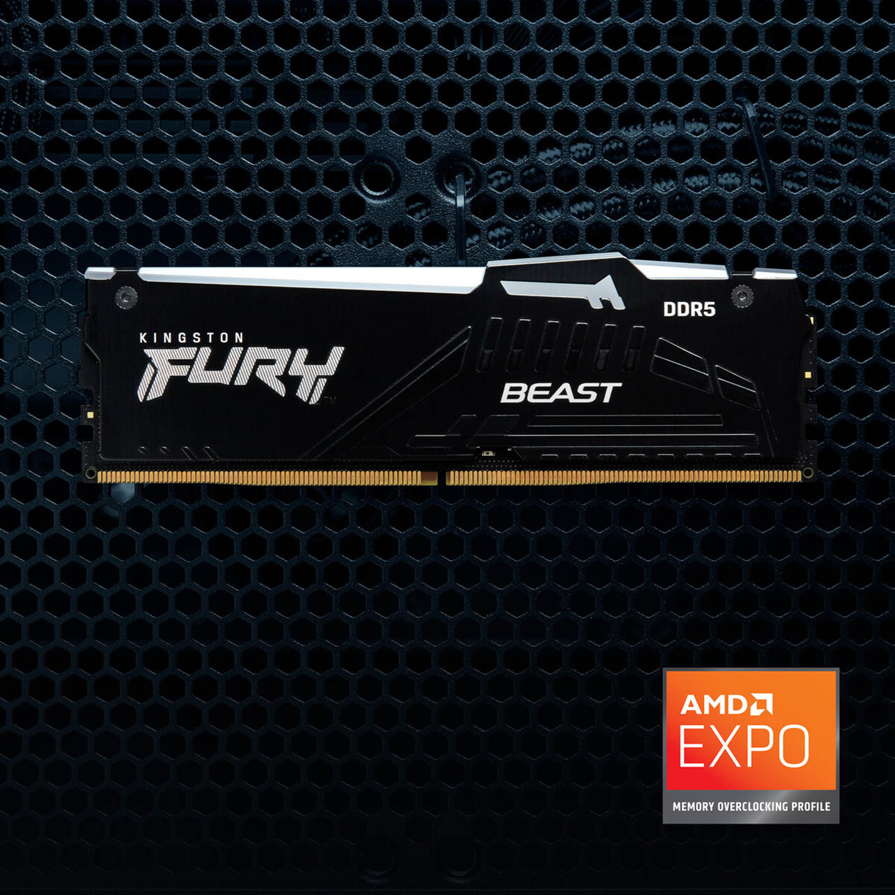 Kingston FURY Beast DDR5 AMD