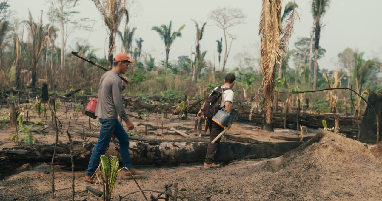 The Territory - Documentary