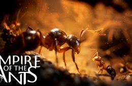 Empire of the Ants