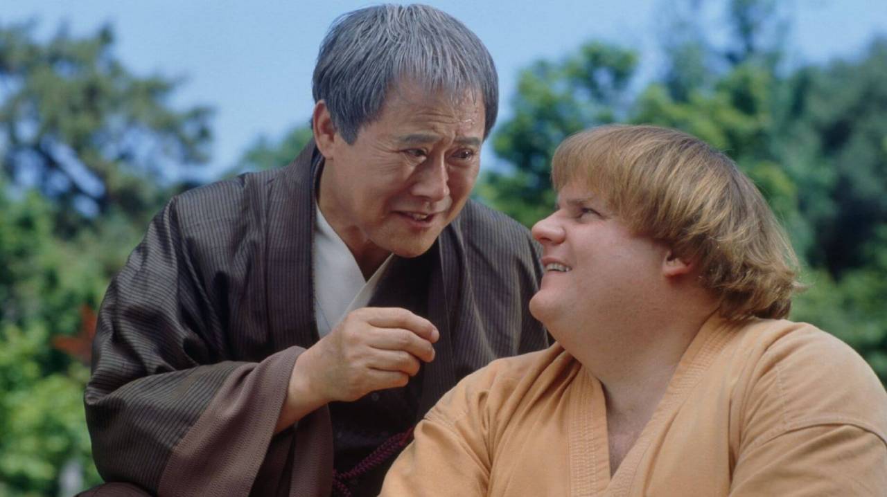 Beverly Hills Ninja
