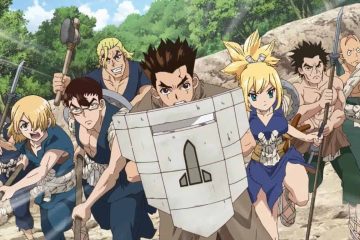 Dr Stone