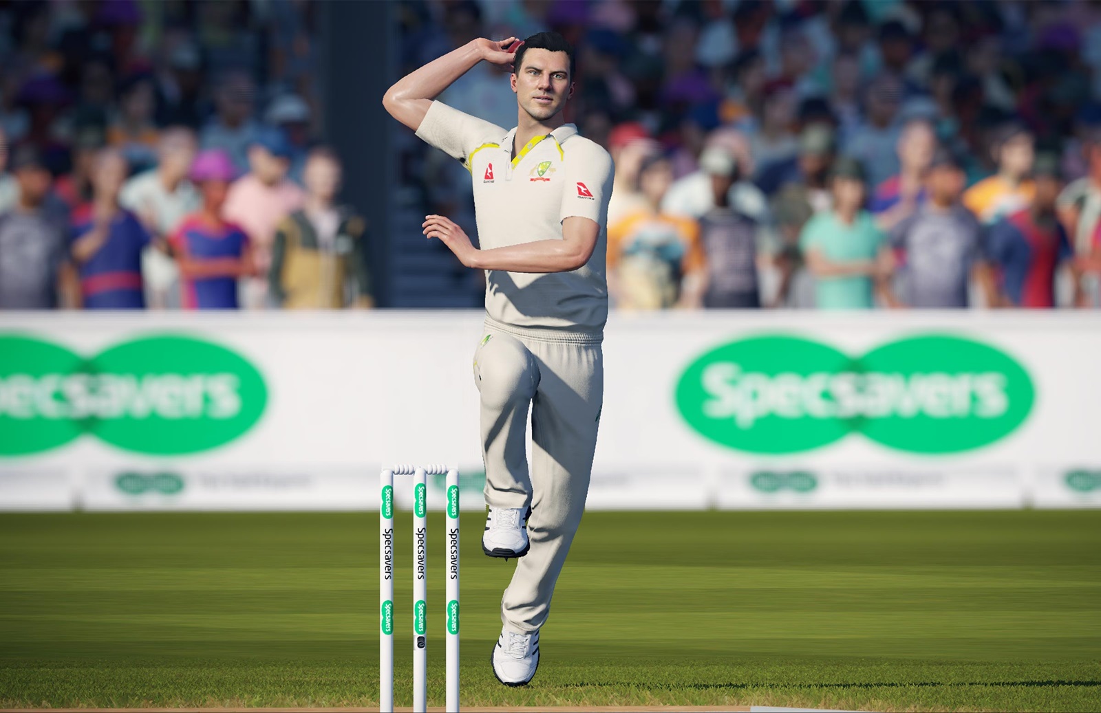 Cricket 19