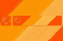 Guardian's Heart Initiative - Bungie