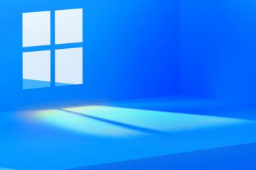 Windows 11