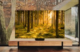 Samsung TV Range 2022