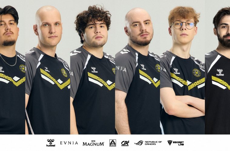 SayF returns to team vitality