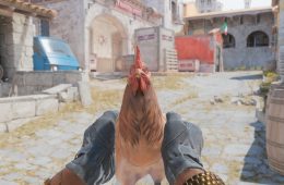 CS2 chicken and pet