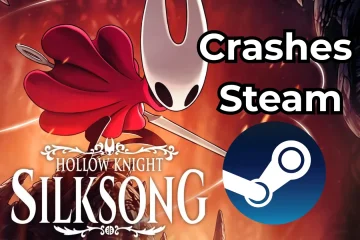 Hollow Knight Silksong crashes Steam