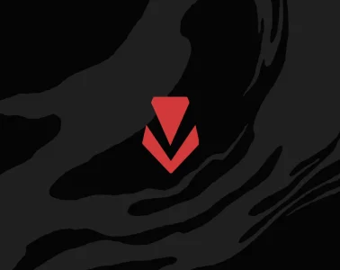 Vanguard on-demand mode